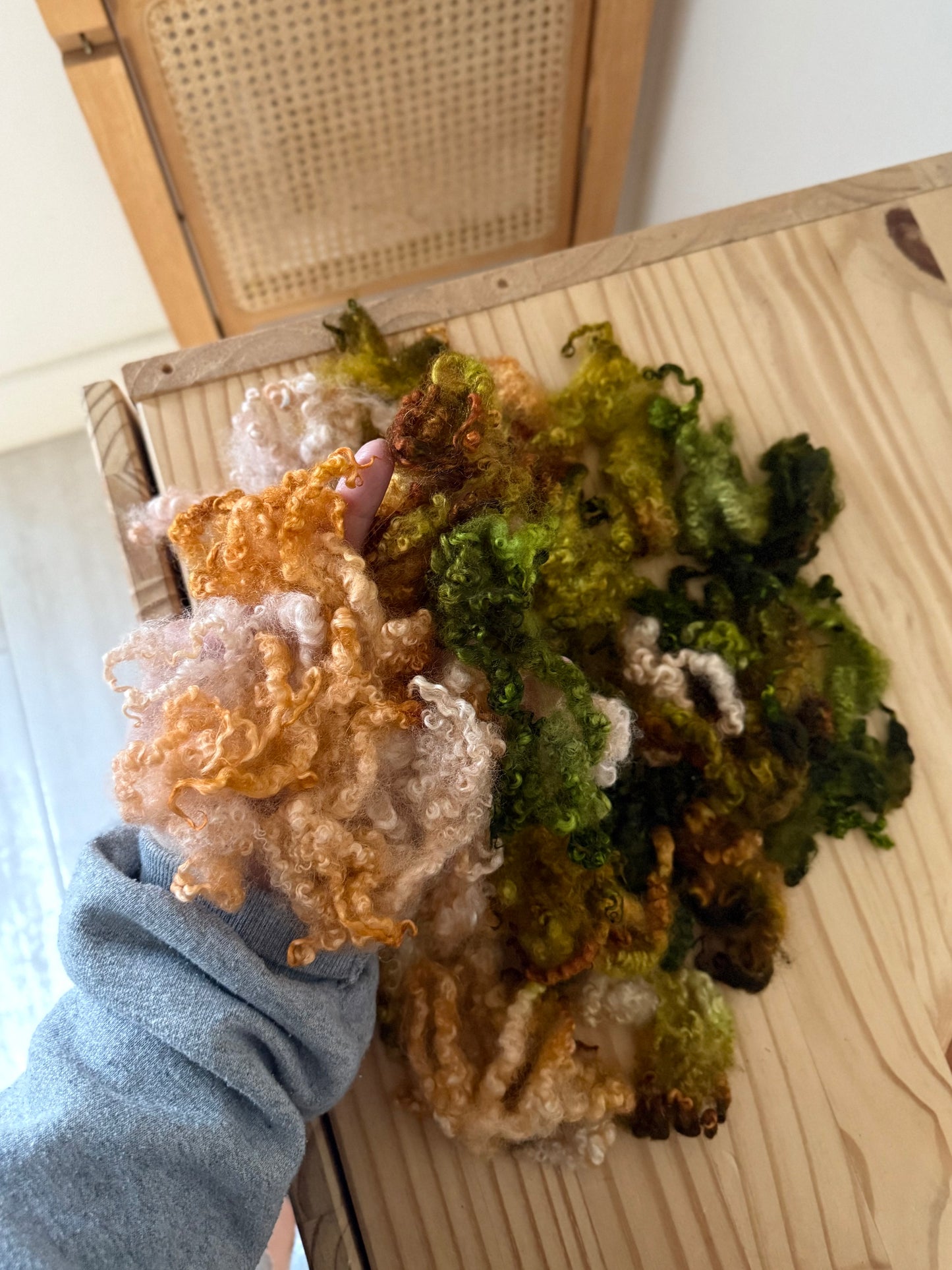 bluefaced leicester locks - peach tree