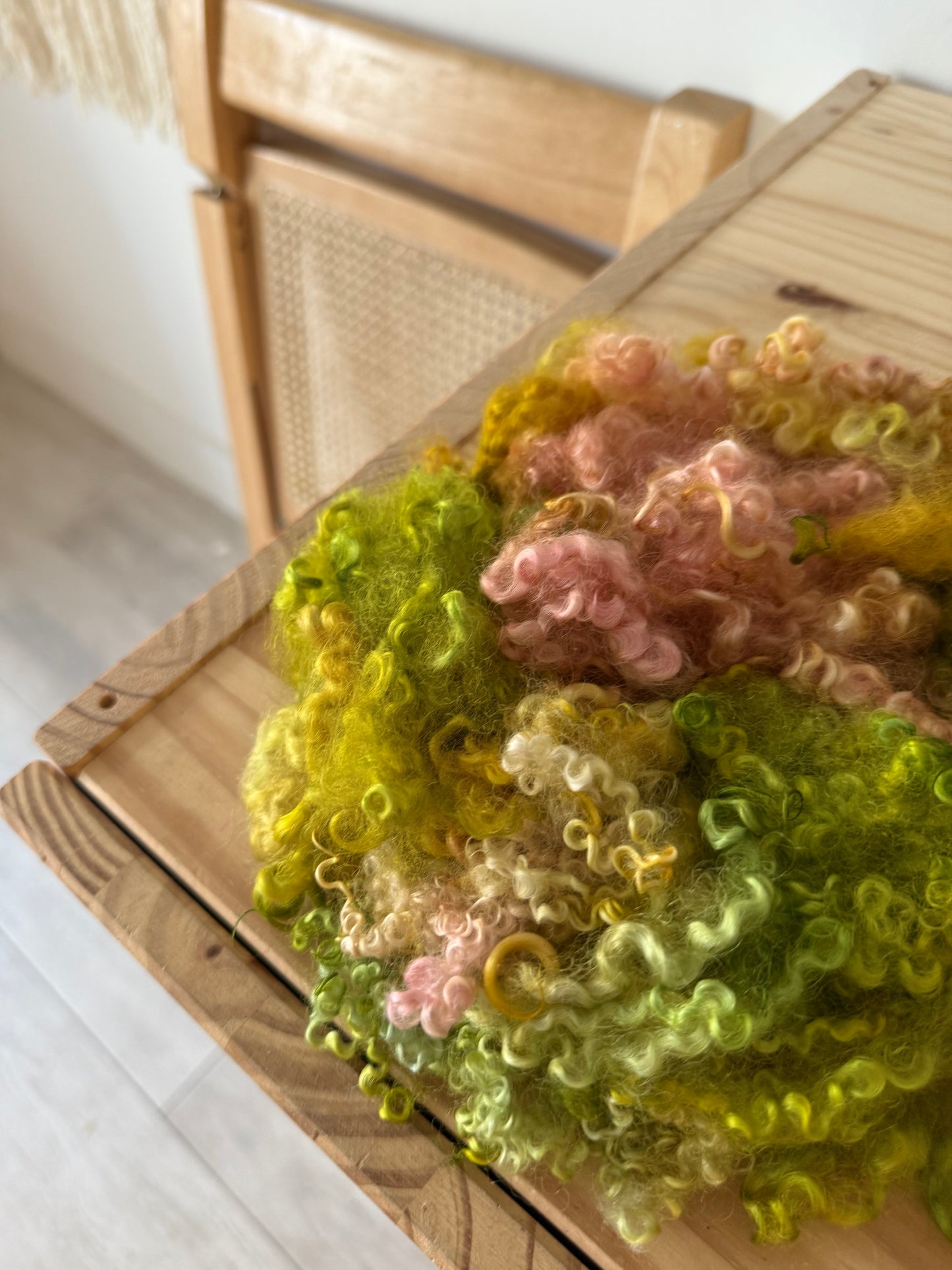 bfl x wensleydale pink & lime green