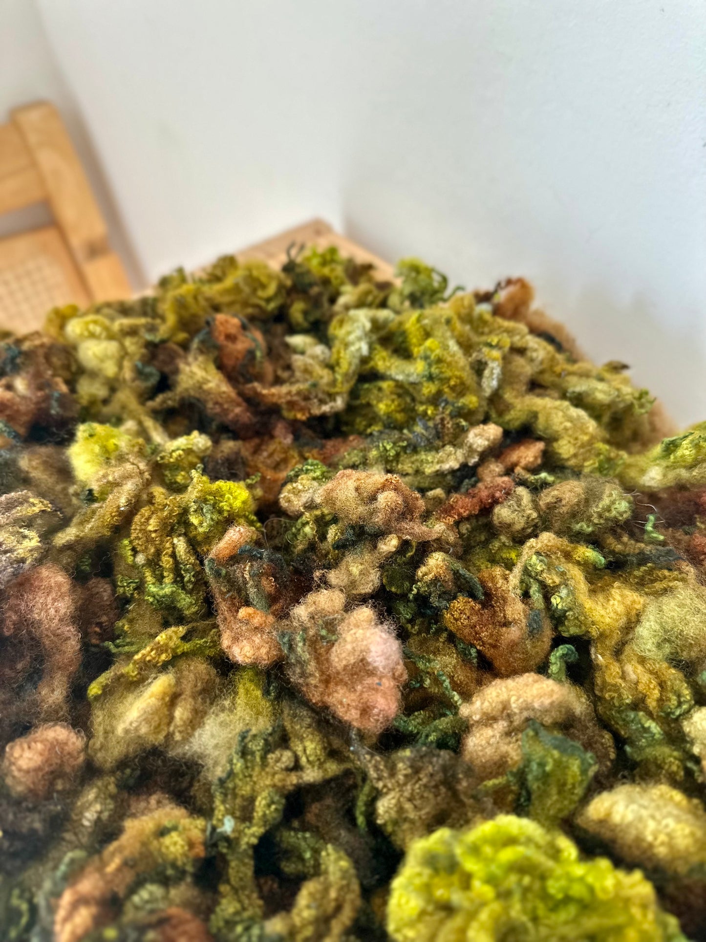 hand dyed polypay fleece