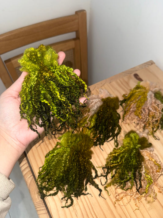 6” long bluefaced leicester locks