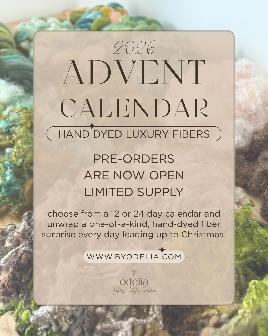 ✨HOLIDAY ADVENT CALENDER✨|| Hand Dyed Luxury Fibers
