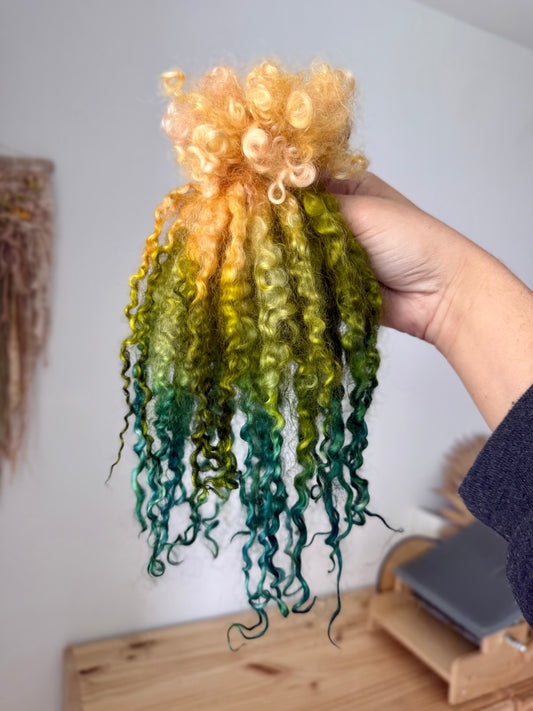 extra long teeswater locks- peach to spruce gradient