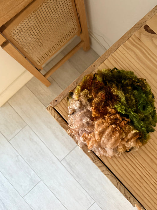 bluefaced leicester locks - peach tree