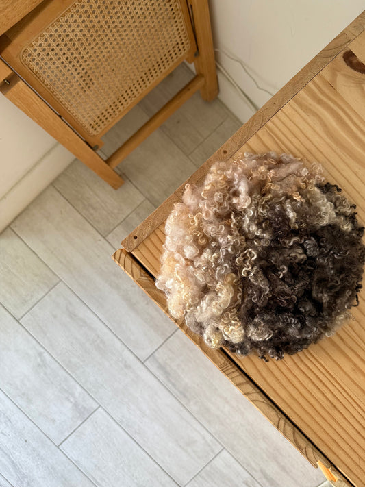 wensleydale locks - pecan plum & pink sand