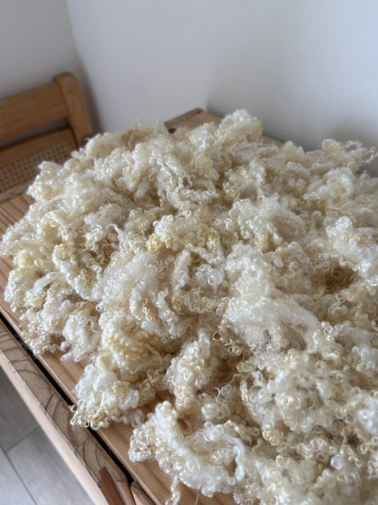 washed & scoured bfl cross locks