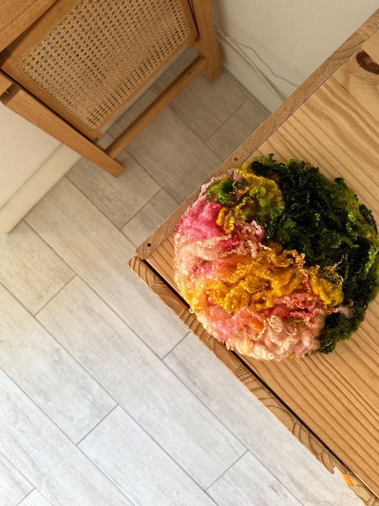 bluefaced leicester locks - summer sun