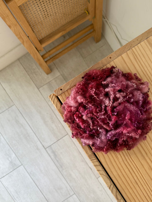 bluefaced leicester locks - pink magenta