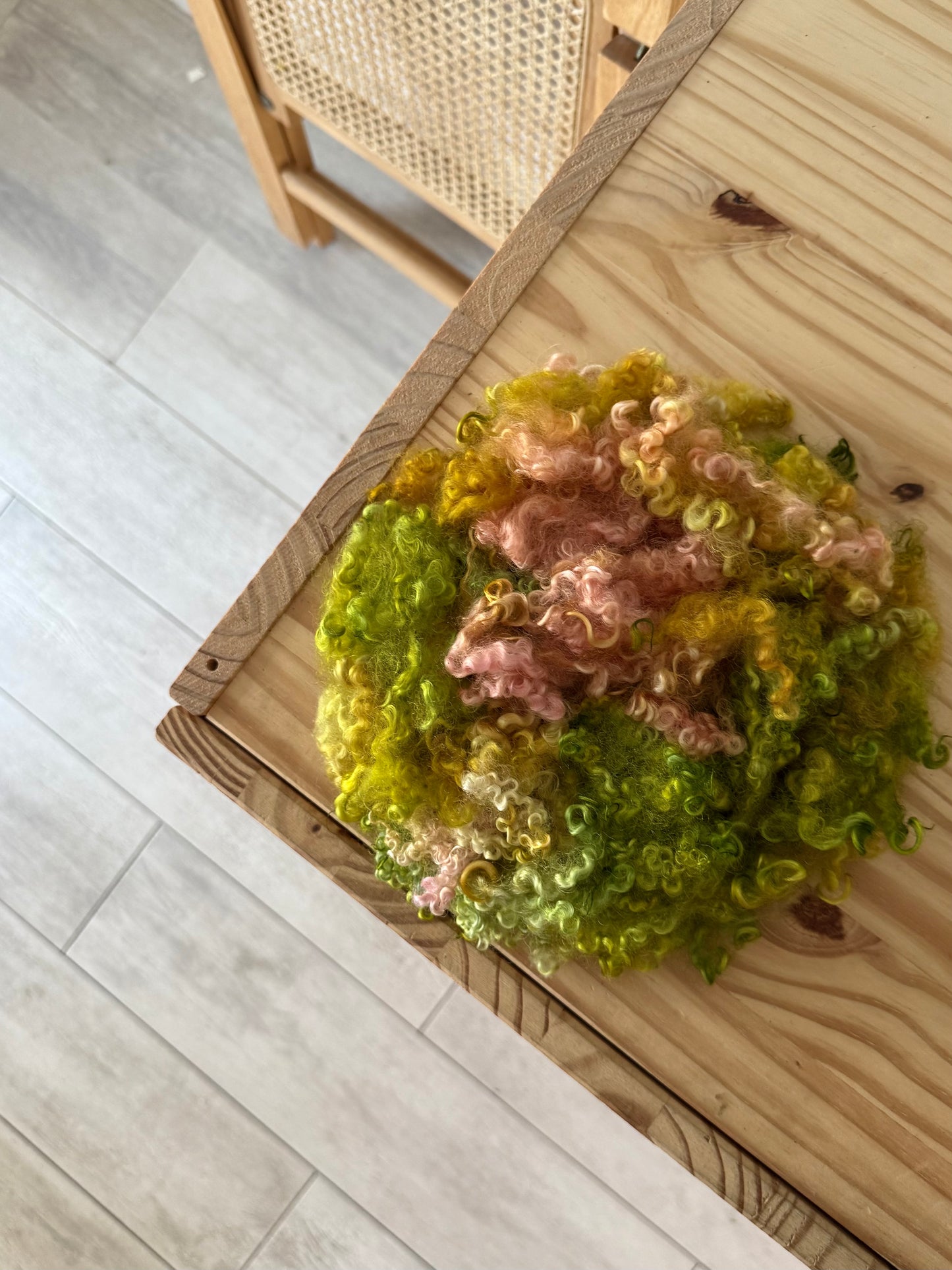 bfl x wensleydale pink & lime green