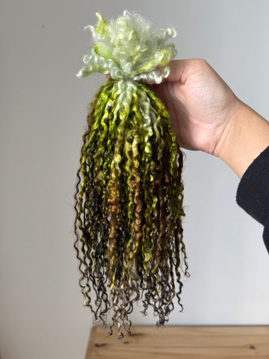 extra long wensleydale locks- moss cave