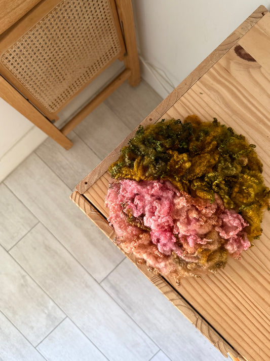 bluefaced leicester locks - flamingo gardens