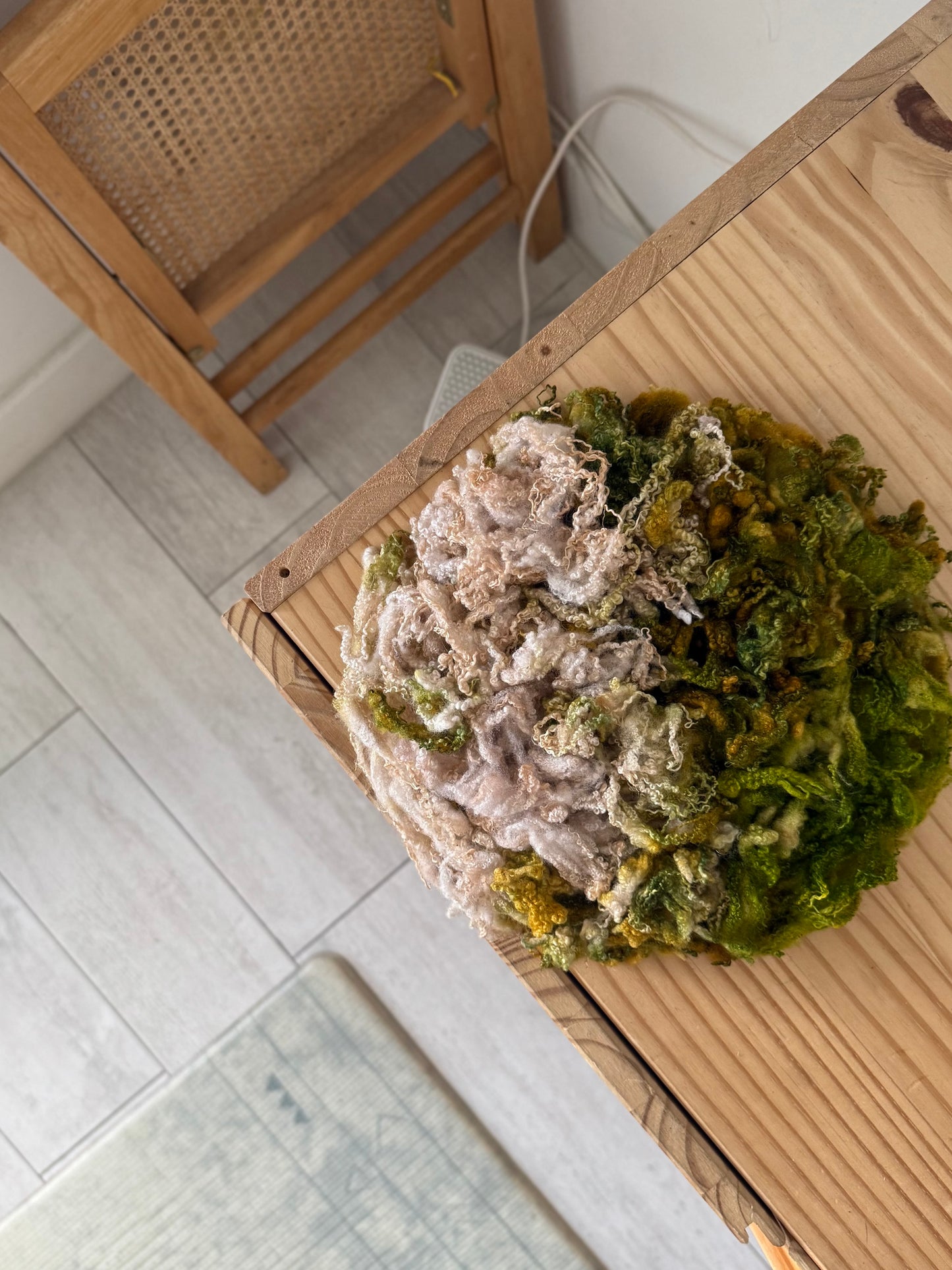 bluefaced leicester locks - rose garden