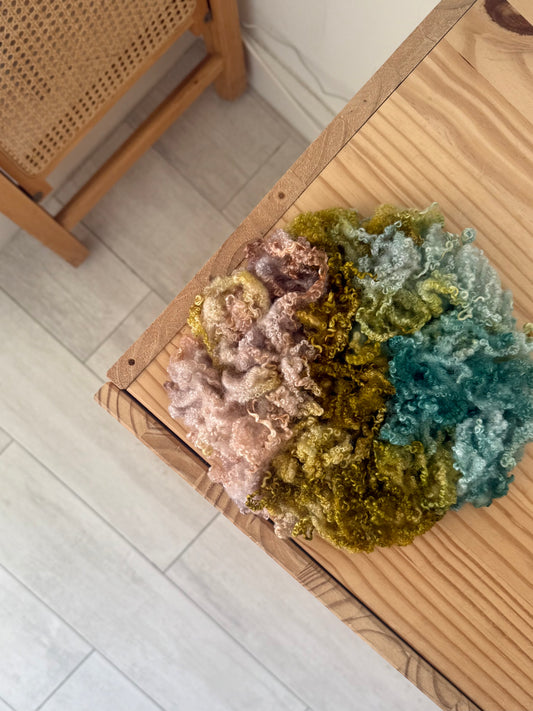 bluefaced leicester locks - new bloom